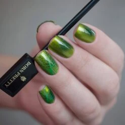 Dual-end Cat Magnetic Stick -Born Pretty Salon 3 39e8de2d e76d 489f 9e1d 15ae882c7fd1