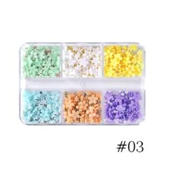 6 Grids Flowers 3D Nail Decoration 27 6 Grids Flowers 3D Nail Decoration -Born Pretty Salon 56320 SX 3