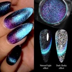 No Brand Silver Moon Cat Magnetic Nail Powder -Born Pretty Salon 57325 ZHU 3