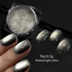 No Brand Silver Moon Cat Magnetic Nail Powder -Born Pretty Salon 57325 ZI 3