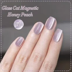 Water Light Cat Magnetic Gel Polish MY98 Honey Peach 10ml -Born Pretty Salon 58465 ZI A 2