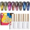 4 Colors 9D Flakies Reflective Cat Magnetic Gel 5ml