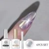 IG Trend Cat Magnetic Gel & Mirror Powder Nail Kit #01