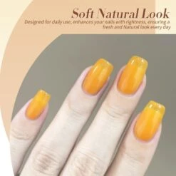 6 Colors Orange Brown Jelly Gel Set Crystal Amber 7ml -Born Pretty Salon 59238 ZI 4 dcf68a39 7a3d 473f 870e f19a53a7d548