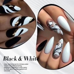 250g Color Gel Polish -Born Pretty Salon 60023 ZI 4 75dcc0a9 2871 4ca9 a212 92e211c6dc55