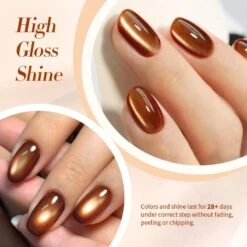 Water Light Cat Magnetic Gel Polish MY79 Caramel 10ml -Born Pretty Salon 60216 2 ZI 5