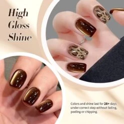 Water Light Cat Magnetic Gel Polish MY80 Dark Chocolate 10ml 13 Water Light Cat Magnetic Gel Polish MY80 Dark Chocolate 10ml -Born Pretty Salon 60216 3 ZI 5