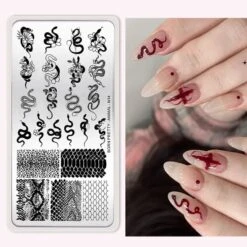 Animal Flowers Design Nail Stamping Plates N12 N13 N14 N15 -Born Pretty Salon 60276 ZSX 3 2e5502f9 2b5d 4513 98c4 55109b987c06