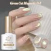 Gold Cat Magnetic Gel Polish GCM02 10ml