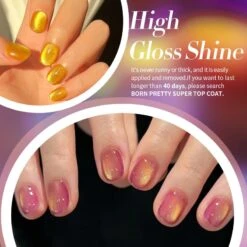 Fantasy Island Colored Cat Magnetic Gel Polish 10ml -Born Pretty Salon 60686 ZI 2