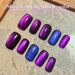 Purple Cat Magnetic Gel Polish MY43 Blackish Purple 15ml -Born Pretty Salon 60947 ZI 8