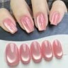 Pink Glass Cat Magnetic Gel Polish Freedom Land MY52 10ml