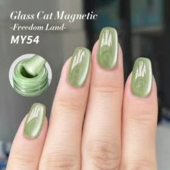 Glass Cat Magnetic Gel Polish Freedom Land 10ml -Born Pretty Salon 60995 SXC 3 1