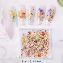 No Brand DIY Small Dried Flowers Nail Decoration -Born Pretty Salon 61037 SXA 1