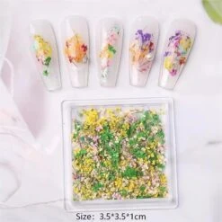 No Brand DIY Small Dried Flowers Nail Decoration -Born Pretty Salon 61037 SXA 2