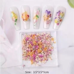 No Brand DIY Small Dried Flowers Nail Decoration -Born Pretty Salon 61037 SXA 3