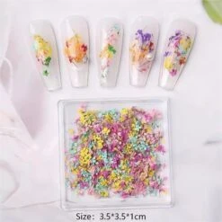 No Brand DIY Small Dried Flowers Nail Decoration -Born Pretty Salon 61037 SXA 5