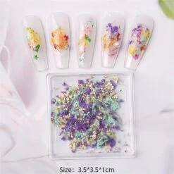 No Brand DIY Small Dried Flowers Nail Decoration -Born Pretty Salon 61037 SXA 6