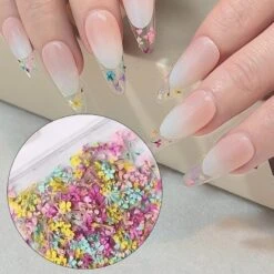 No Brand DIY Small Dried Flowers Nail Decoration -Born Pretty Salon 61037 ZHU 2