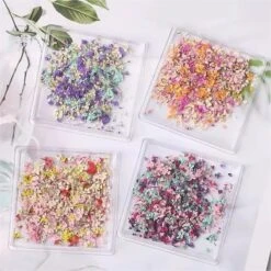 No Brand DIY Small Dried Flowers Nail Decoration -Born Pretty Salon 61037 ZHU 5