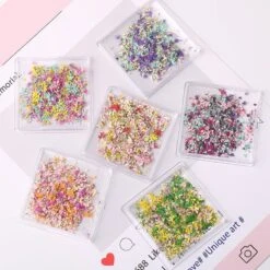 No Brand DIY Small Dried Flowers Nail Decoration -Born Pretty Salon 61037 ZHU 6