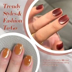 6 Colors Glass Cat Magnetic Gel Polish Set M41 Black Orchid 7ml 10 6 Colors Glass Cat Magnetic Gel Polish Set M41 Black Orchid 7ml -Born Pretty Salon 61208 ZI 3