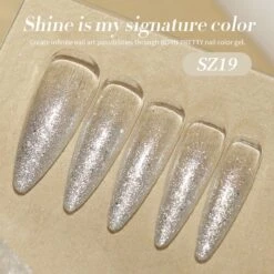 Silver Reflective Glitter Gel Polish SZ19 Neptune 15ml -Born Pretty Salon 61375 ZI 1